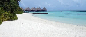 Hôtel Velidhu Island Resort